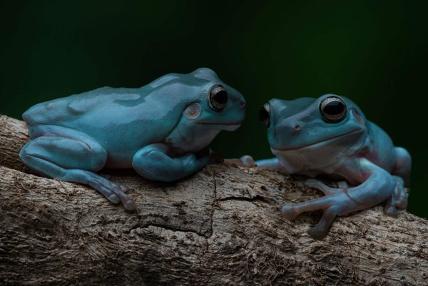 Comment harmoniser des sneakers colorées avec une tenue professionnelle?